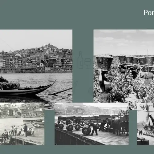 SmagningIntro07_original